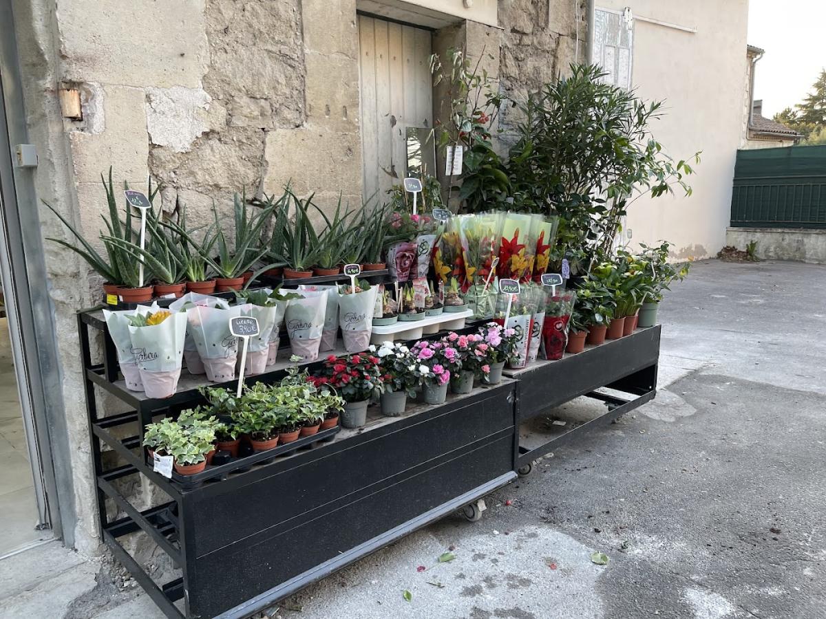 Fleur O Méditerranée, Artisan Fleuriste