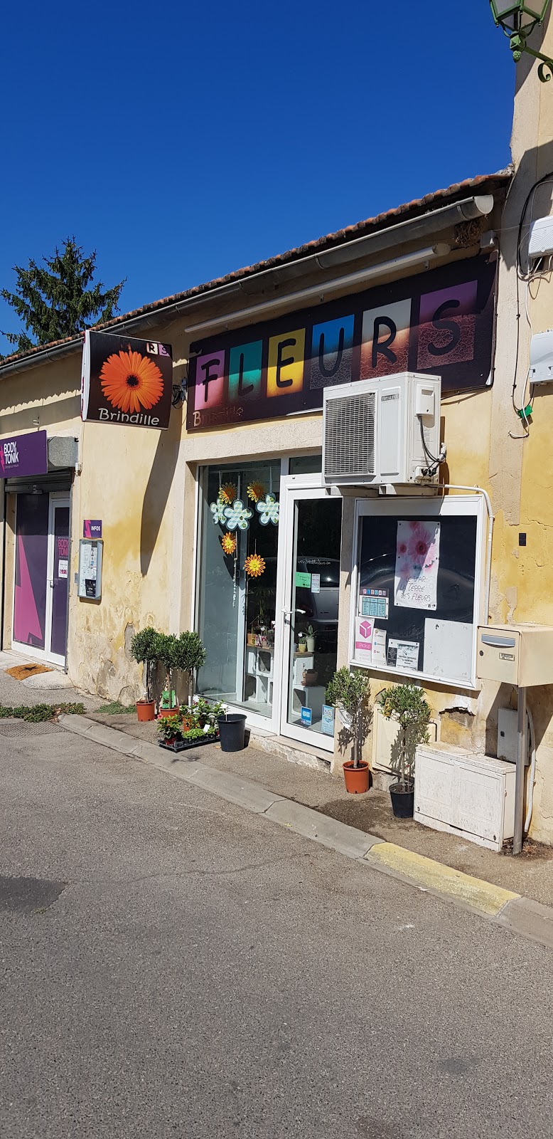 Brindille Fleurs