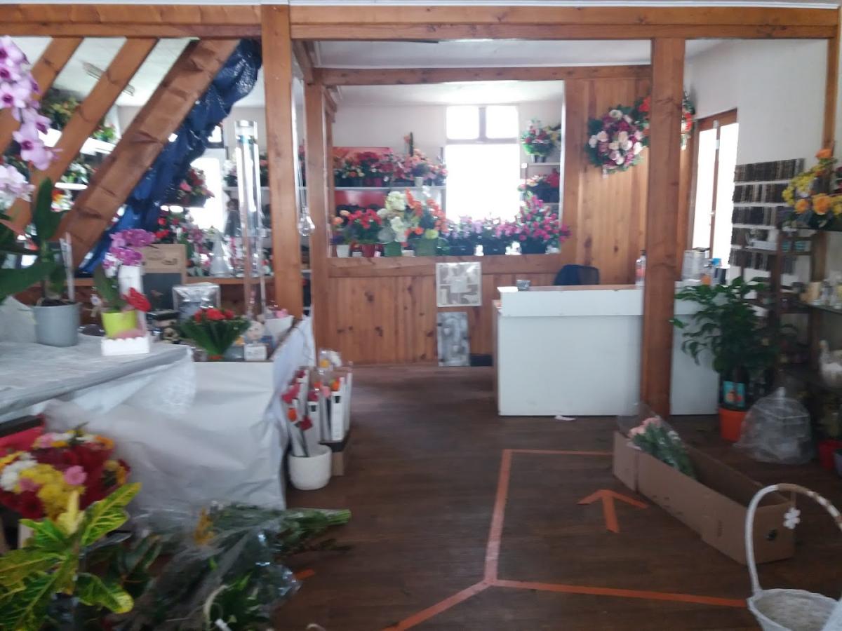 Arbres et fleurs du Célé