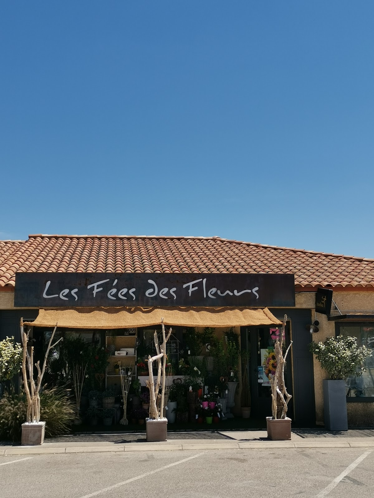 Les Fées des Fleurs