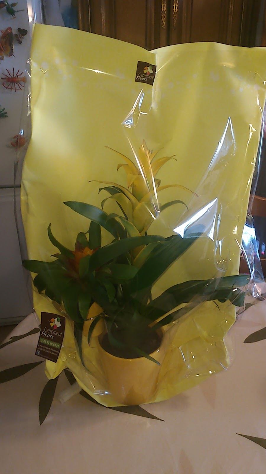 Carrément Fleurs - Fleuriste Villeneuve-sur-Lot 47 - Livraison de fleurs à