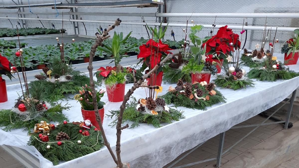 La Voivrotte Horticulture