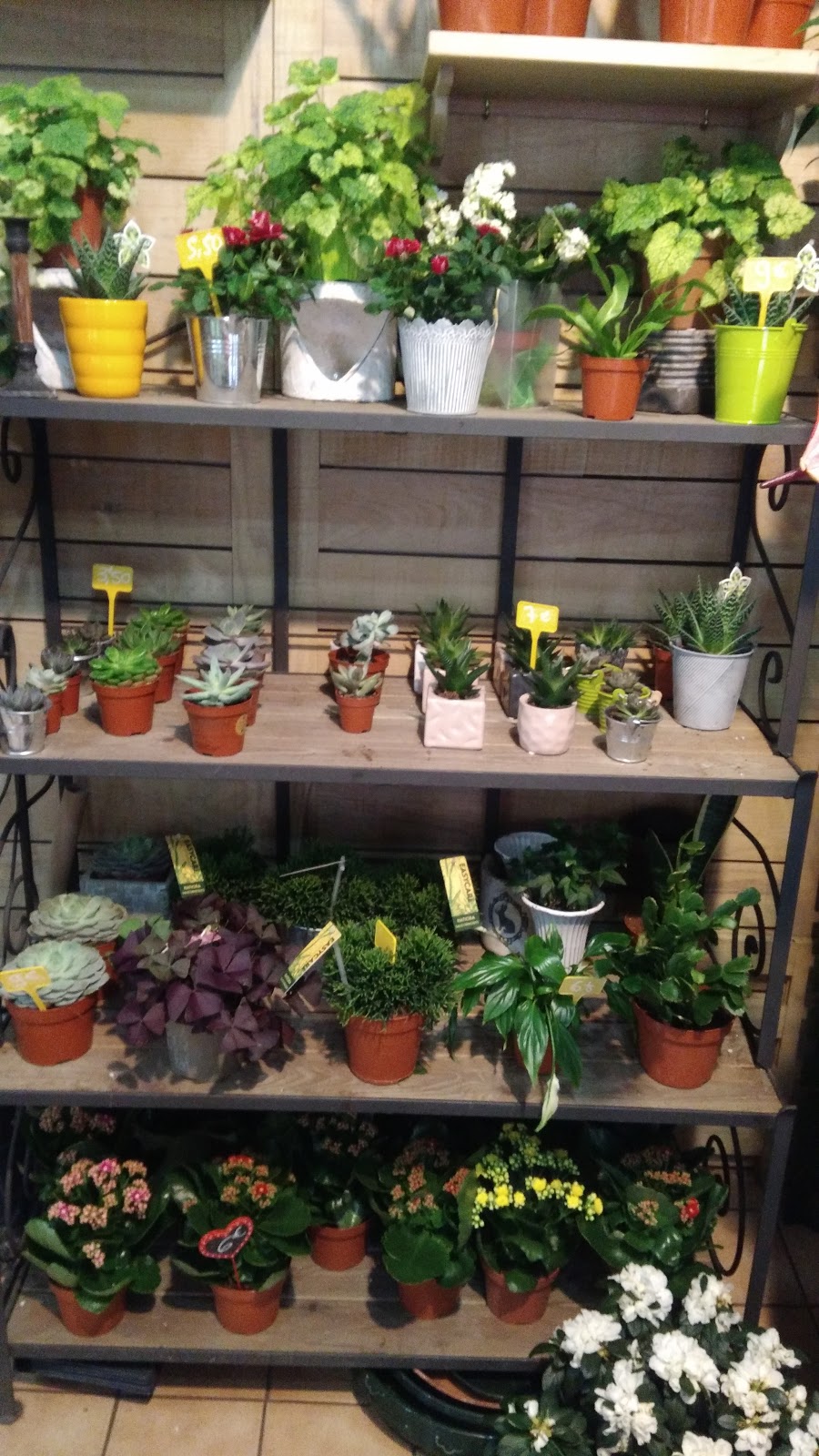 Aux jardins de grasse