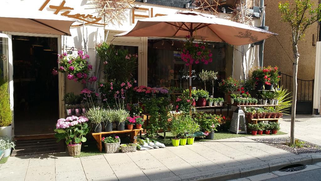 Pierre HENRY, Fleuriste