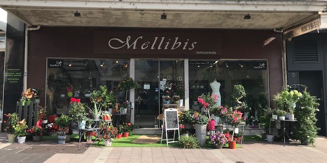 Mellibis Renouveau, Artisan Fleuriste à Agen