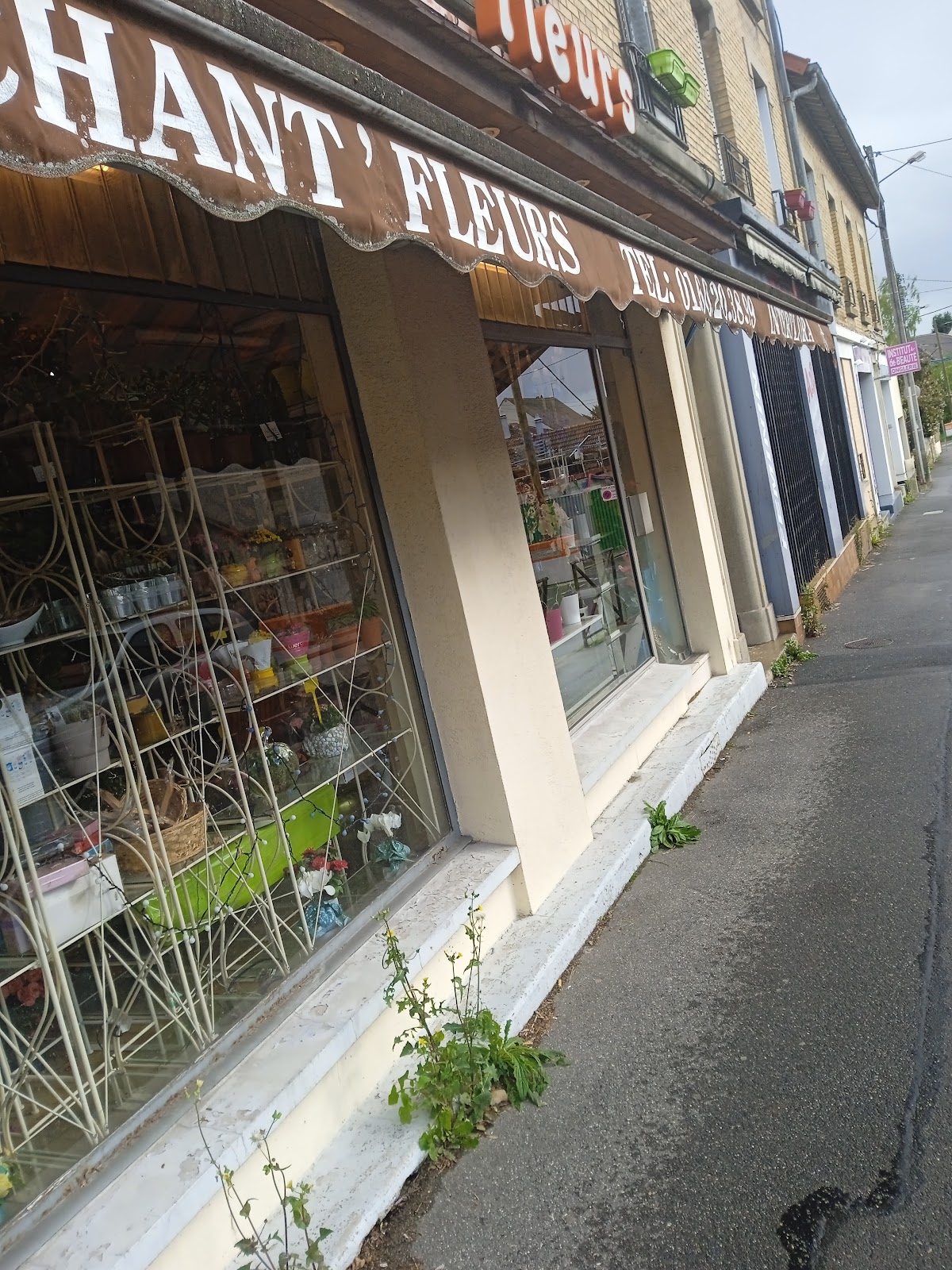 Chant'Fleurs, Artisan Fleuriste