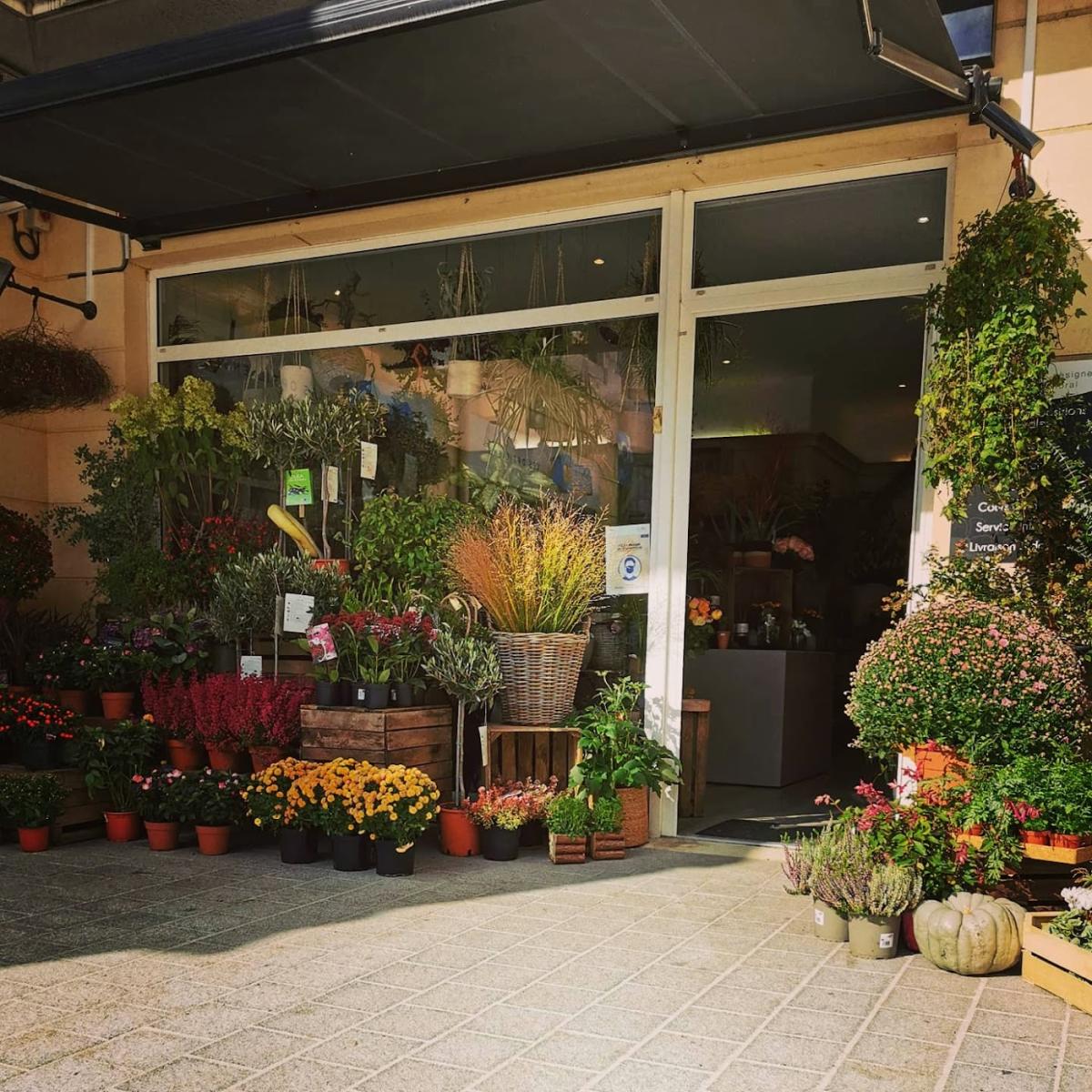 Wendy Designer Floral