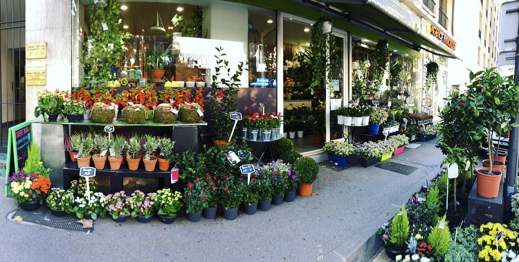 Un dimanche à la campagne