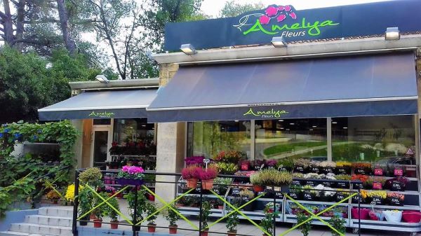 Amelya Fleurs - Fleuriste Aix-en-Provence