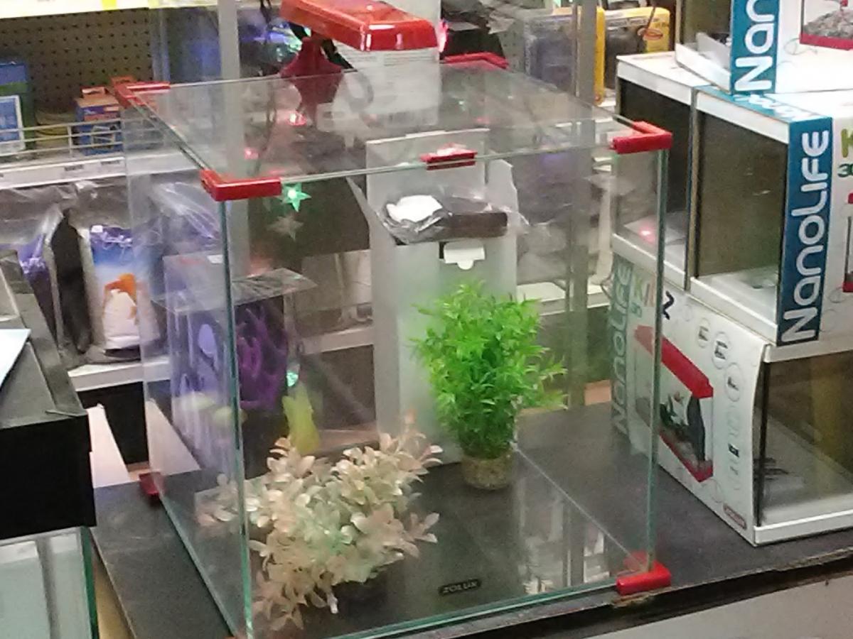 Jardinerie Duponteil