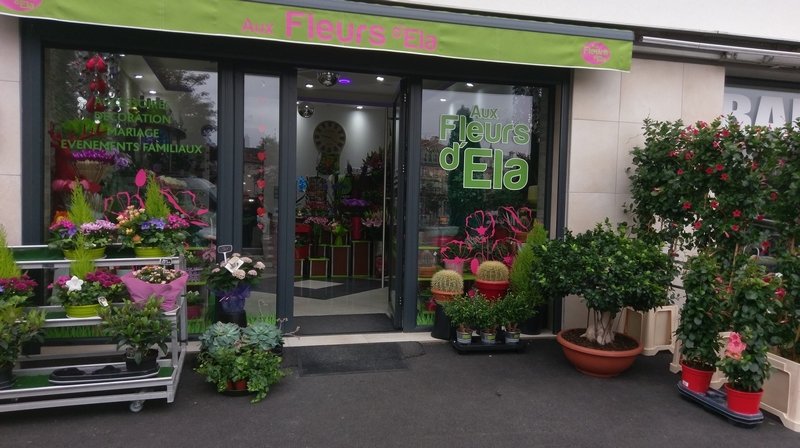 Aux Fleurs D'Ela | Fleuriste à Commercy