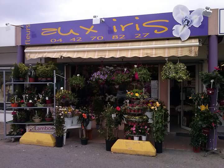Fleurs aux Iris