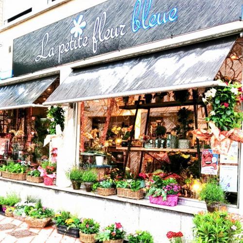 La Petite Fleur Bleue Hazebrouck