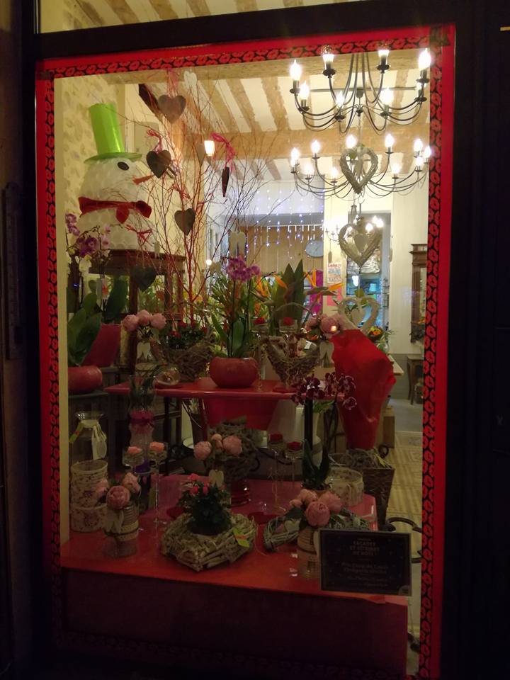 Mi Fleurs Mi Pots
