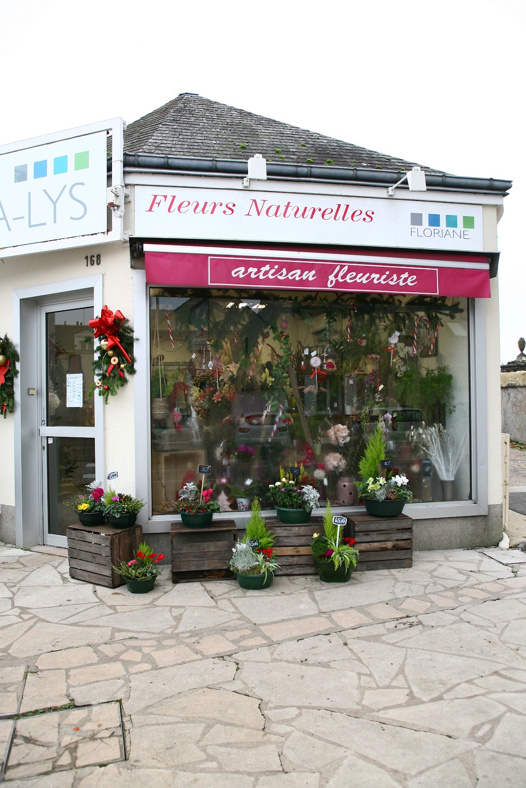 ANATO FLEURS - FLORIANE