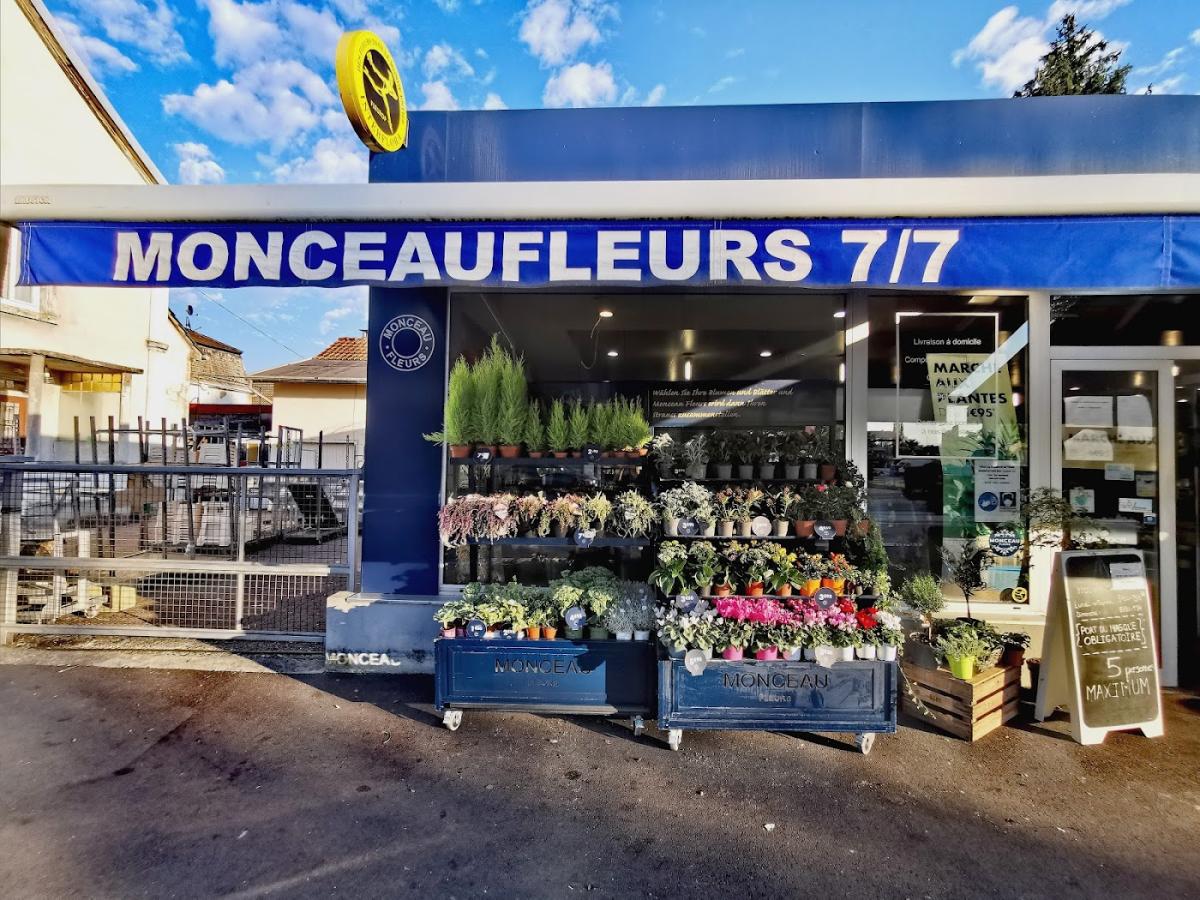Monceau Fleurs