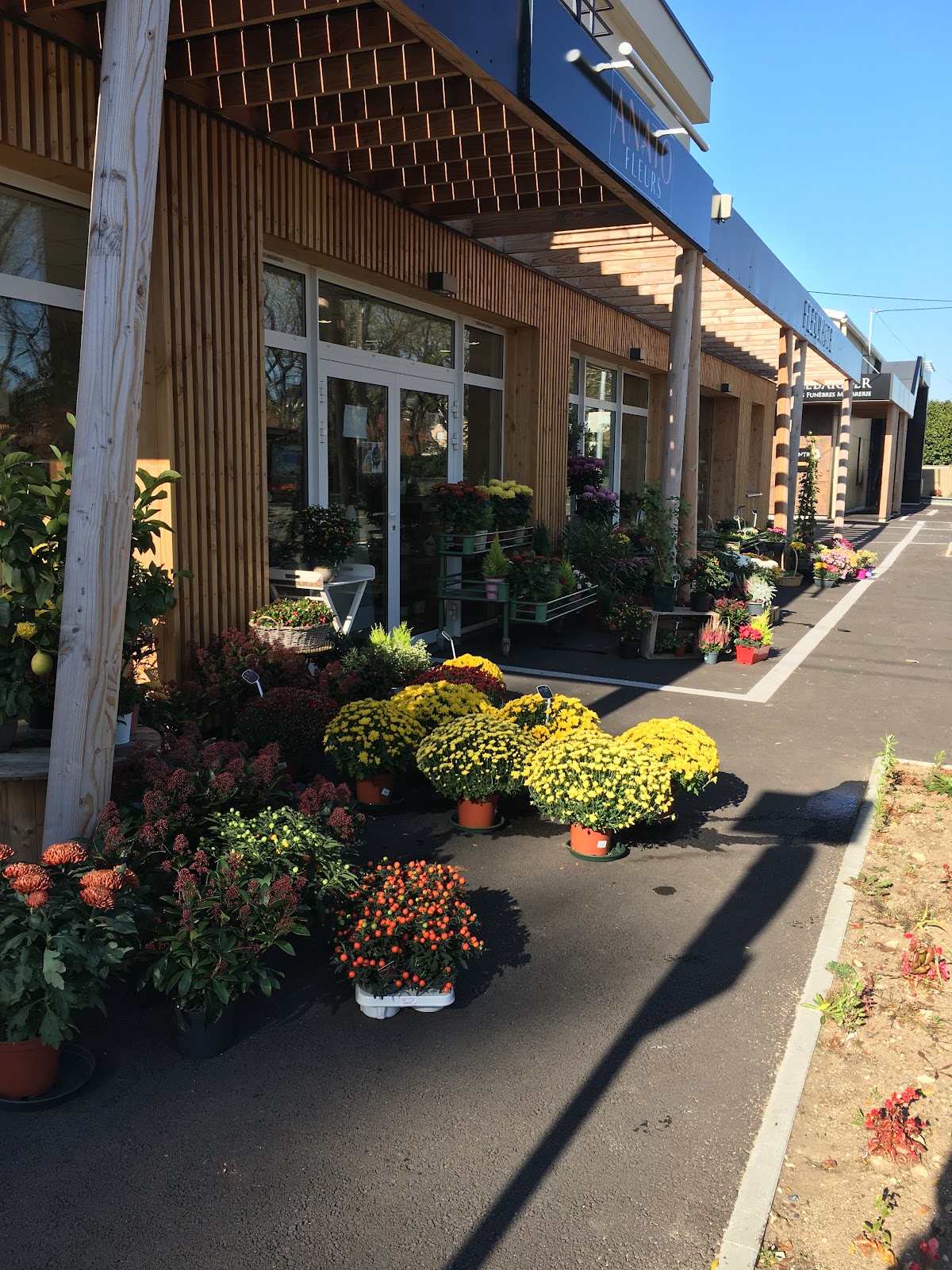 ANATO FLEURS - CITRON'ELLE