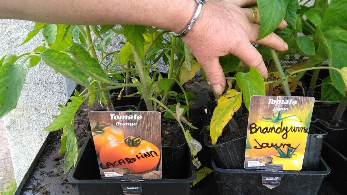 Mme Hermelin Marie-Claude