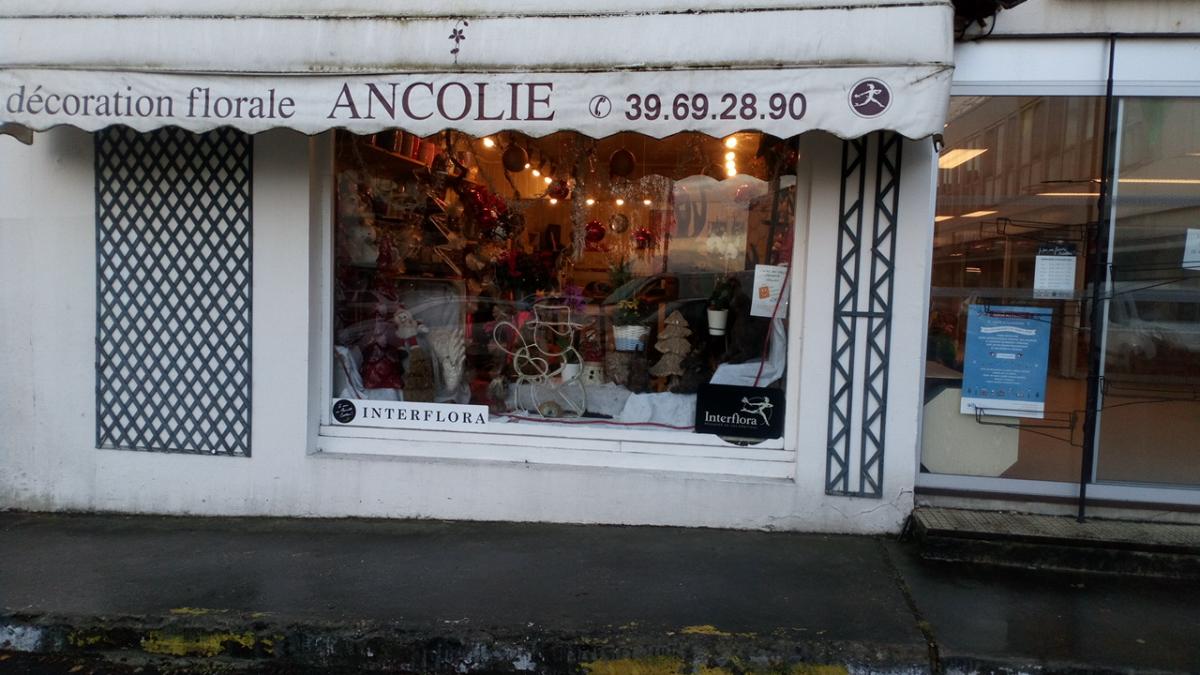 Ancolie La Celle St Cloud