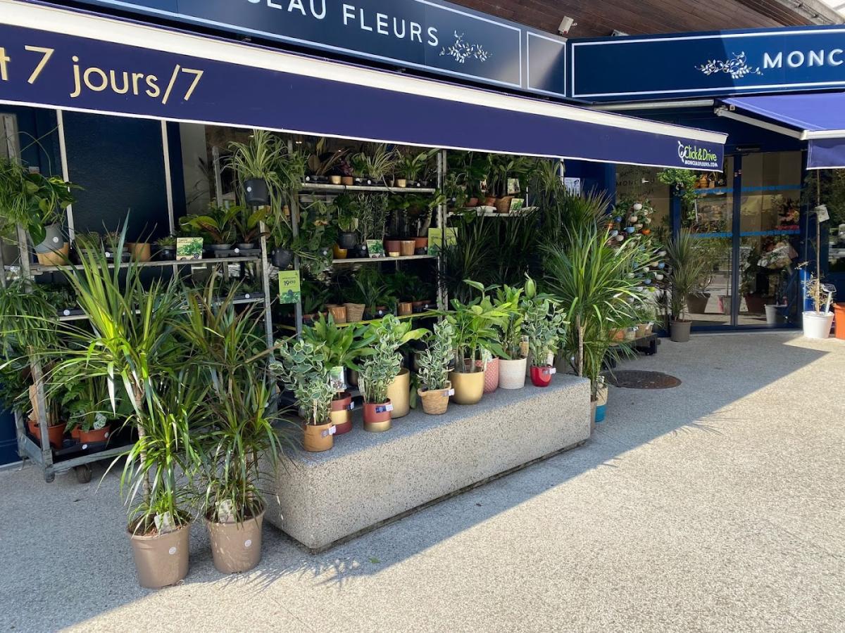 Monceau Fleurs- Saint Egrève