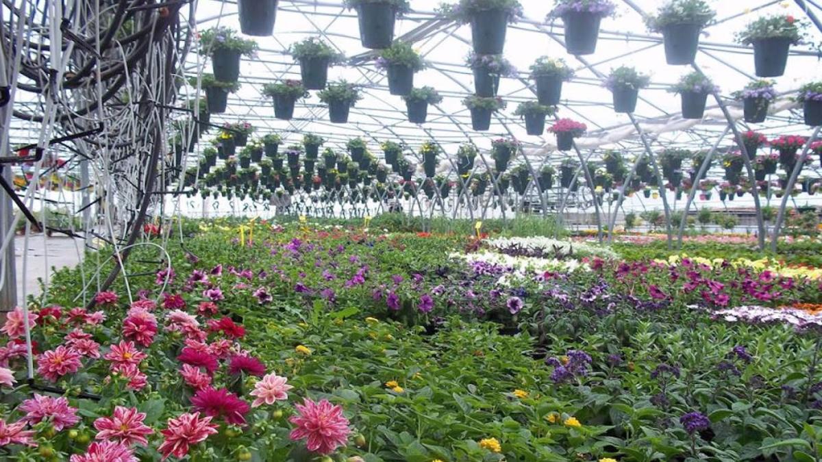 CHANAT CHRISTOPHE RENE FRANCOIS