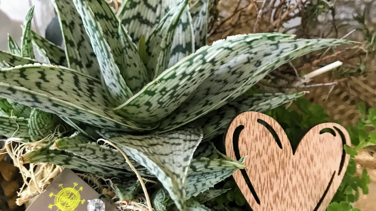 L'Atelier Vert'tiges | Fleuriste Bining