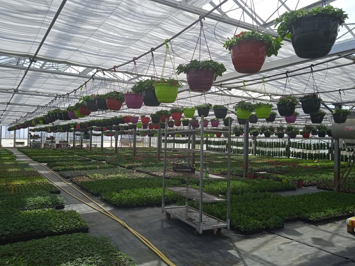 Jardi-fleurs Feillens