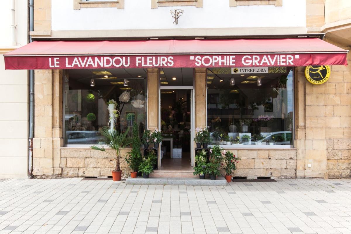 Le Lavandou Fleurs
