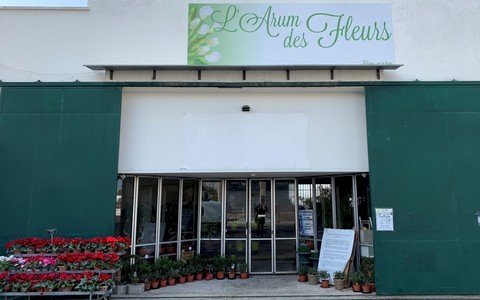 L'arum des fleurs