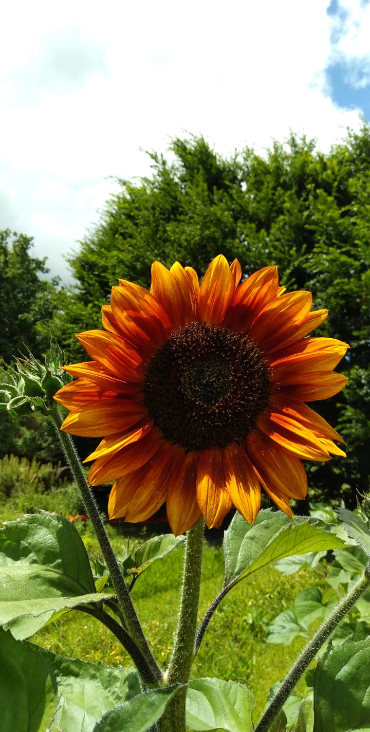 Les Jardins du Cérou