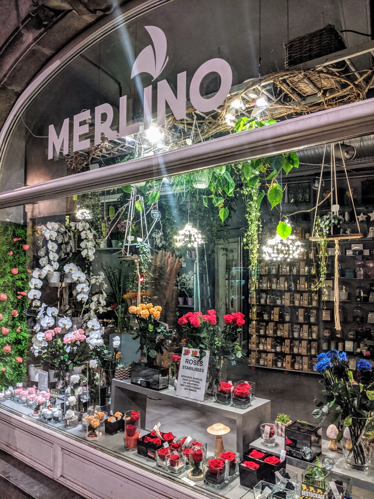 Merlino Fleurs