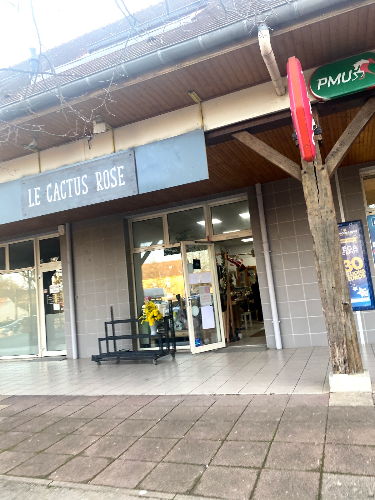 Le cactus rose