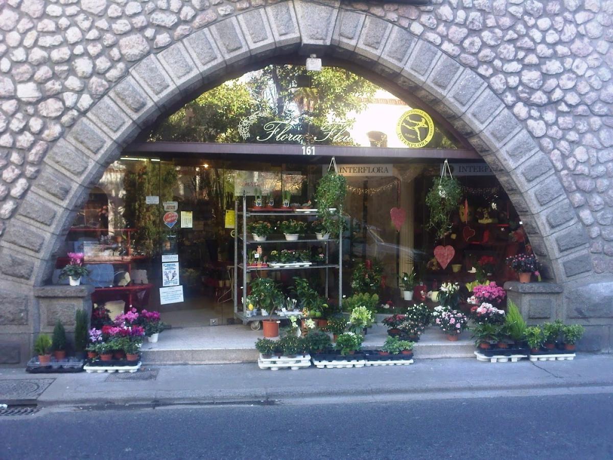 Flora Fleurs