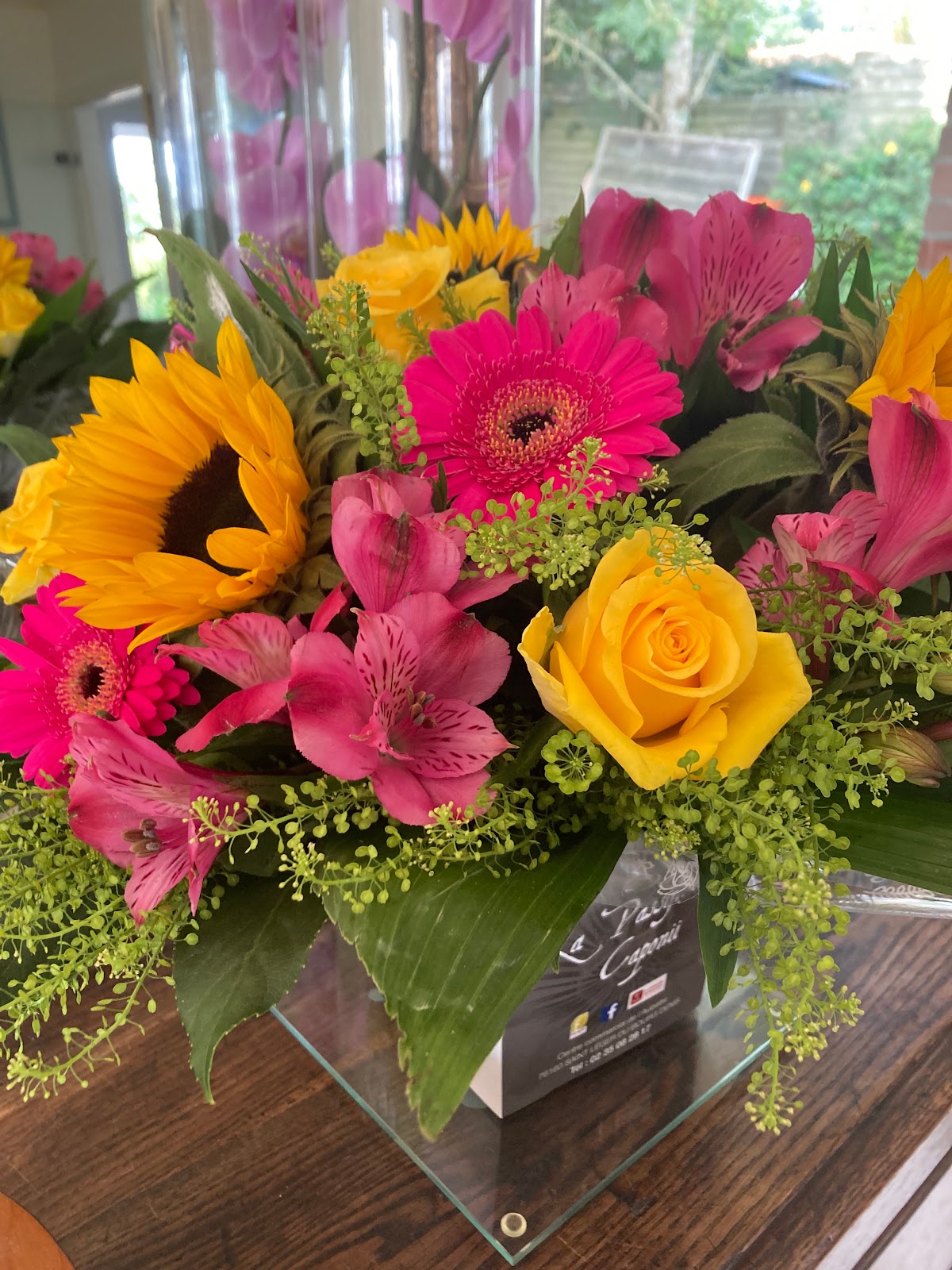 La Passiflora Caponii