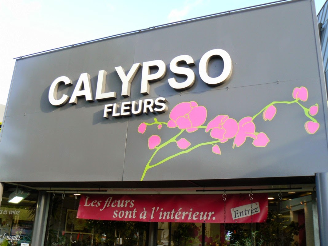 Calypso Fleurs
