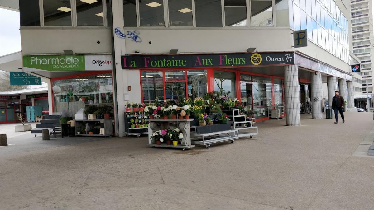 La Fontaine Aux Fleurs Rillieux | Fleuriste Rillieux-la-Pape