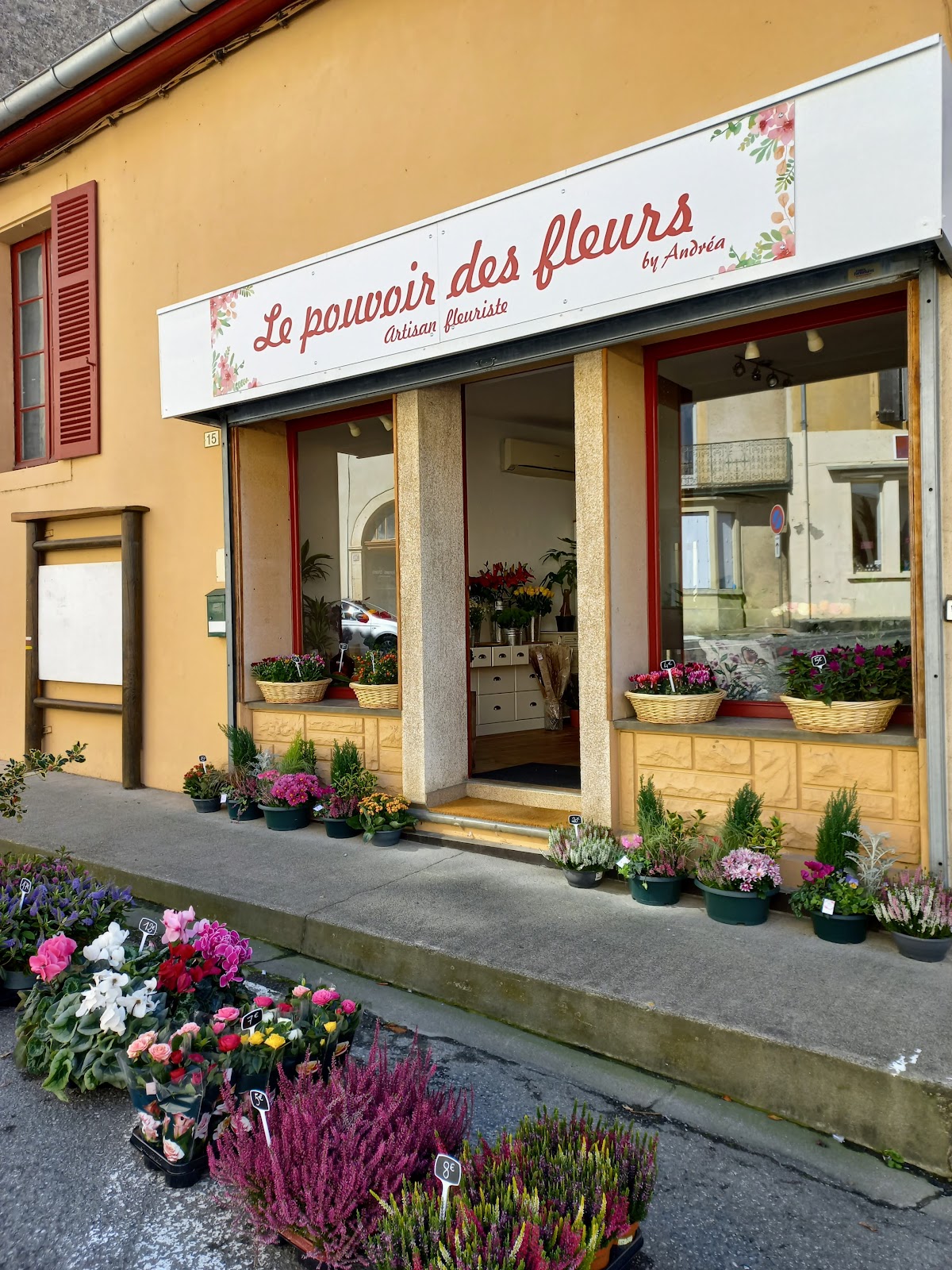 Le pouvoir des fleurs by Andréa