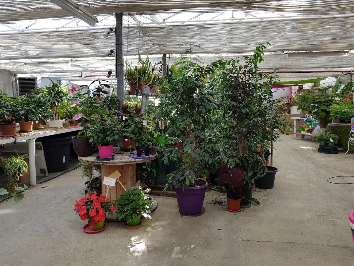 Patricia Braun Artisan Fleuriste