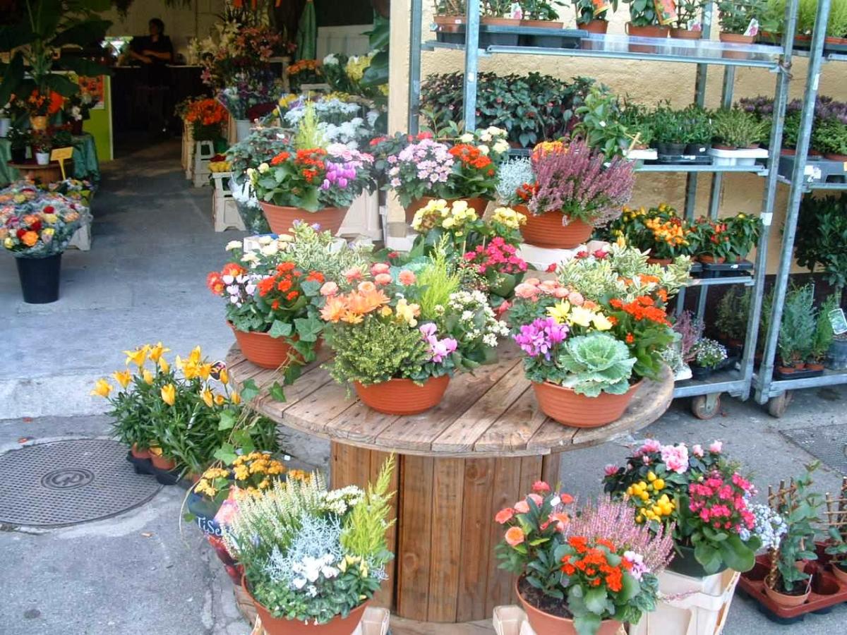 sarl L'UNIVERS fleurs