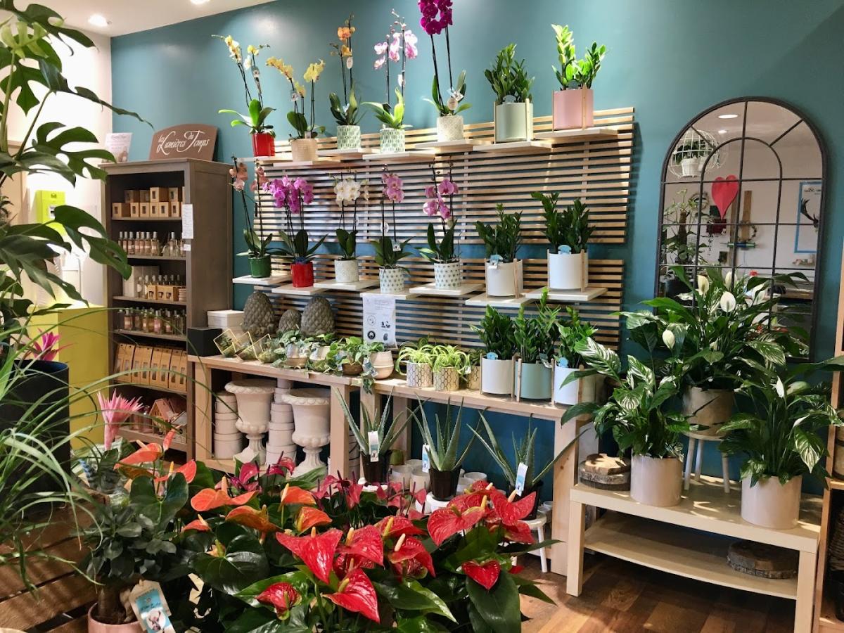 L'odeur Des Sous-bois