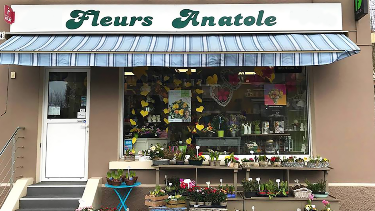 FLEURS ANATOLE
