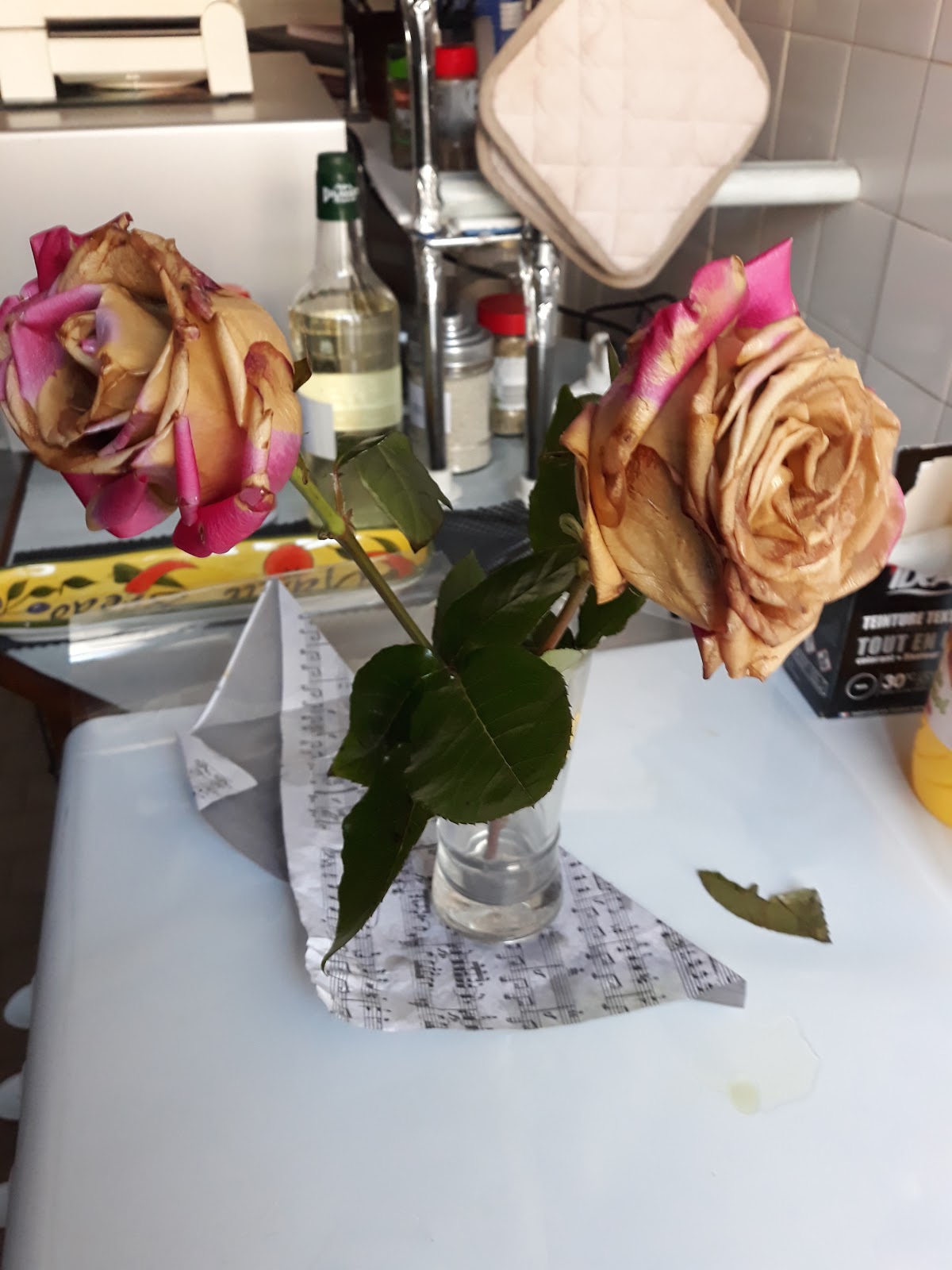 En Rose Clair'