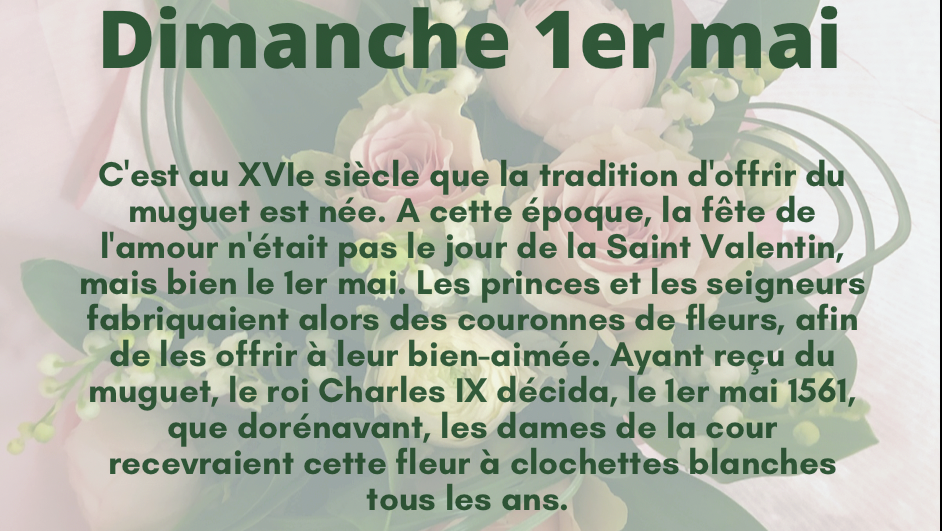 Le jardin de Pivoine