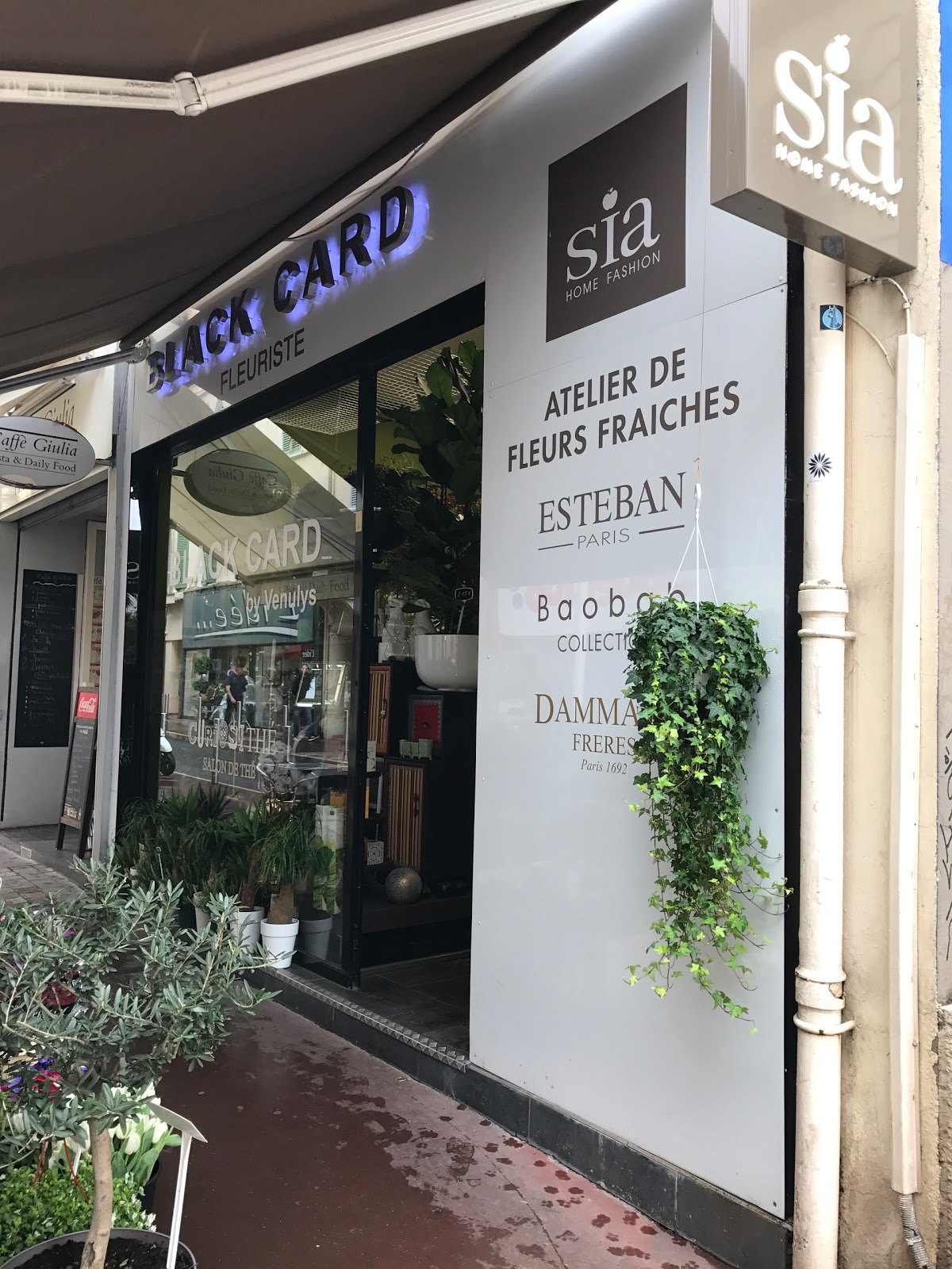 Black Rose Fleuriste Cannes