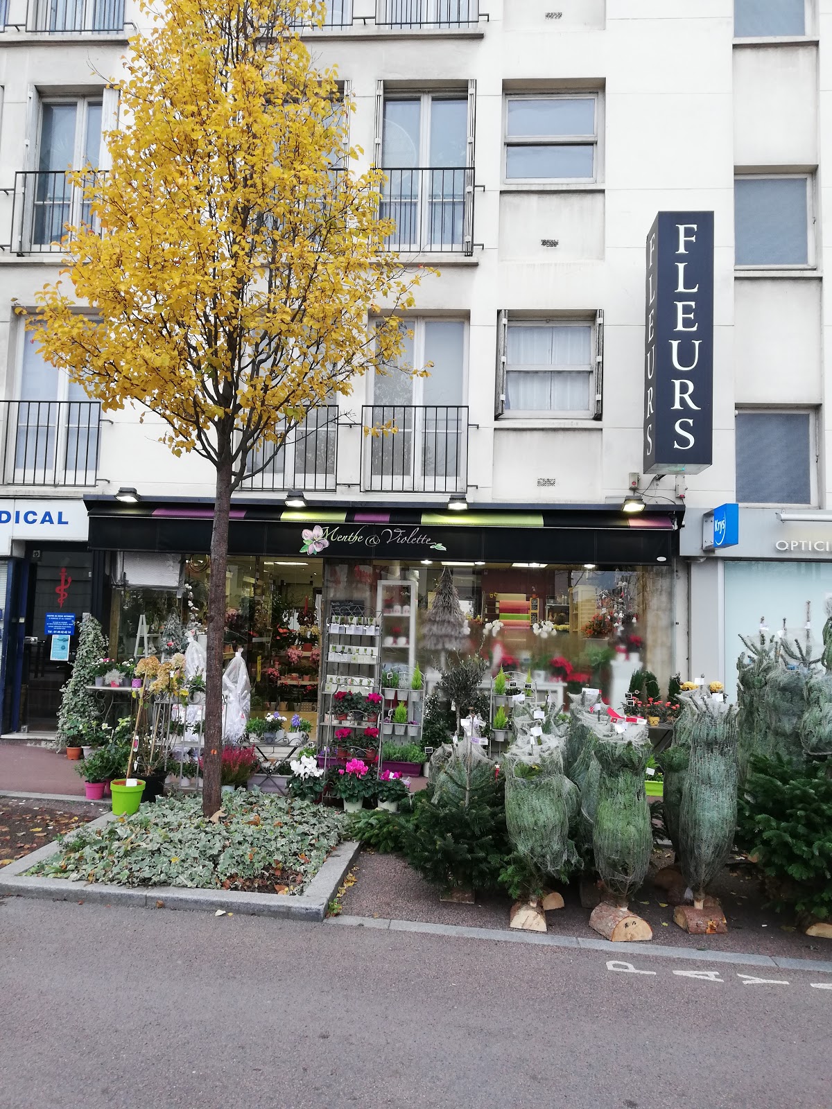 Menthe et Violette, Artisan Fleuriste