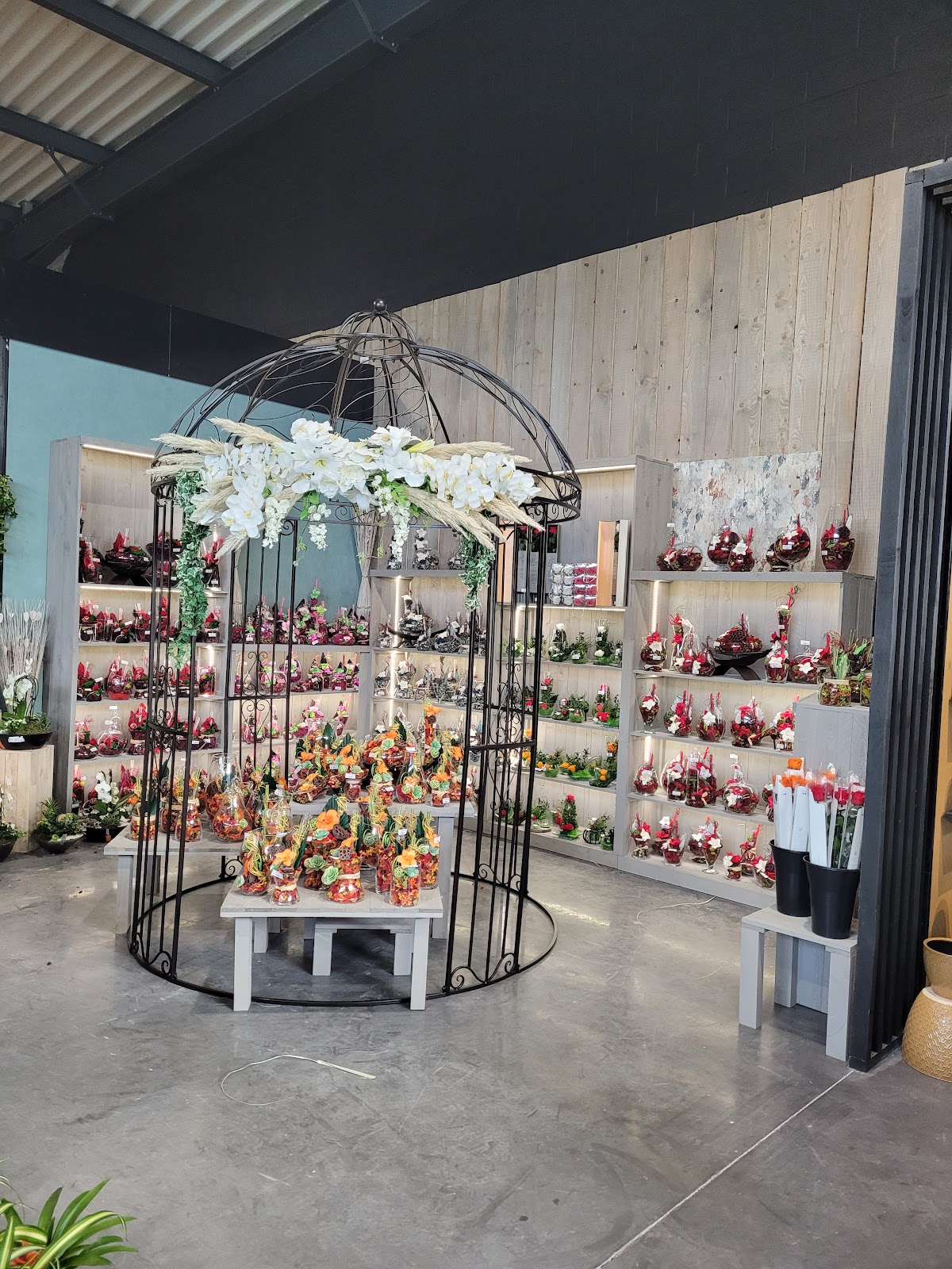 Les jardins d'Olivier