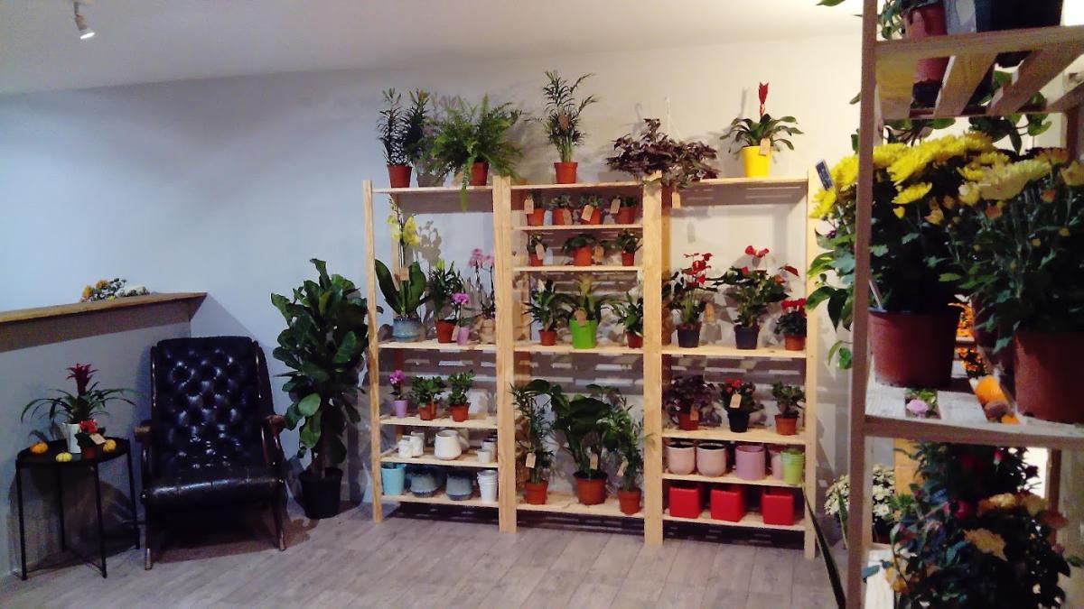 Graine de pavot Artisan fleuriste