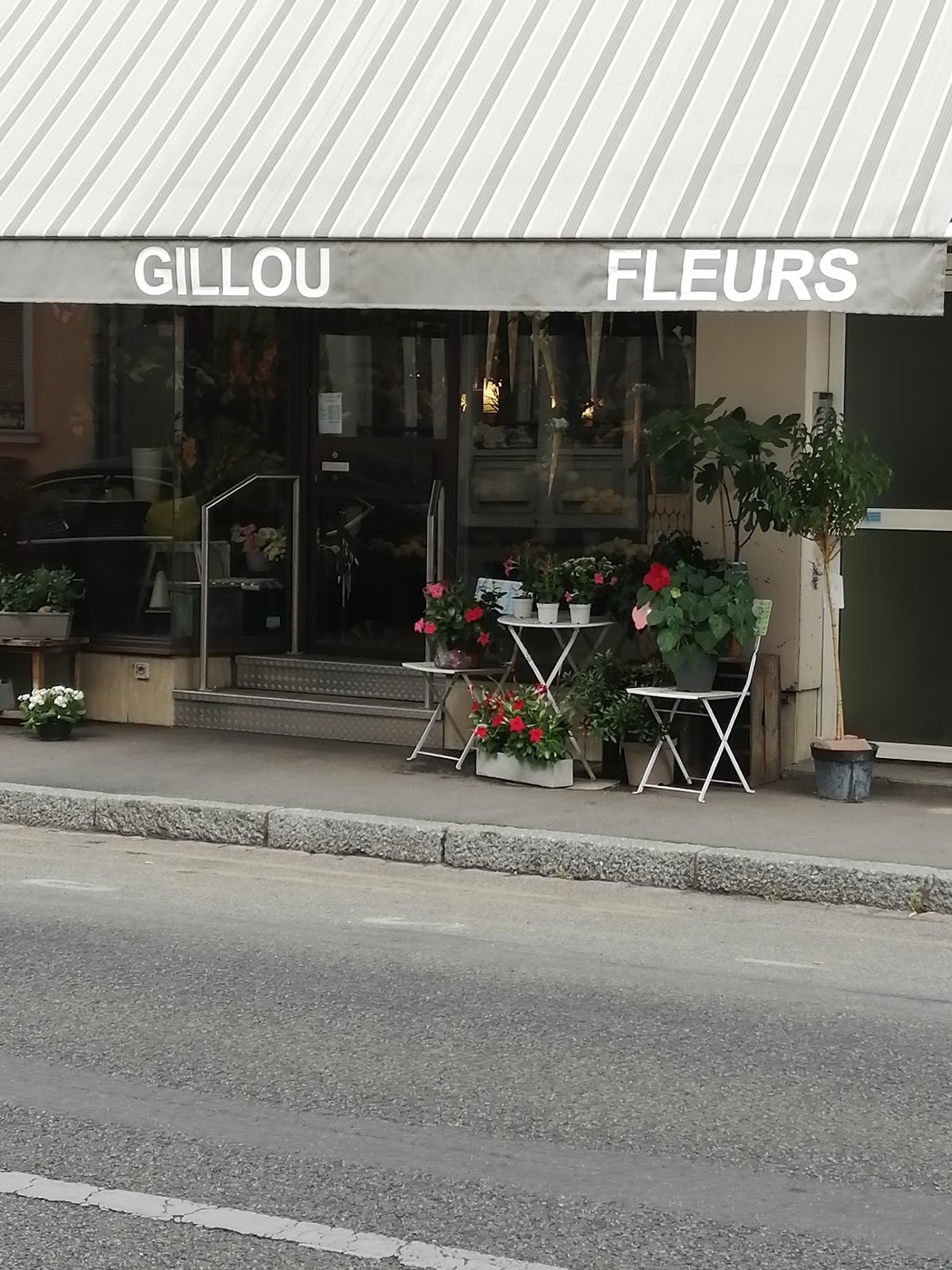 Gillou Fleurs