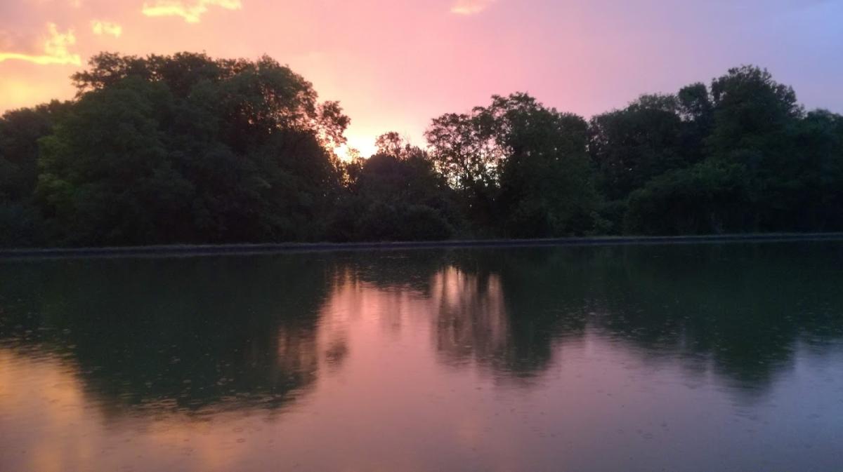 Poussant Brun Nathalie Claire Joelle