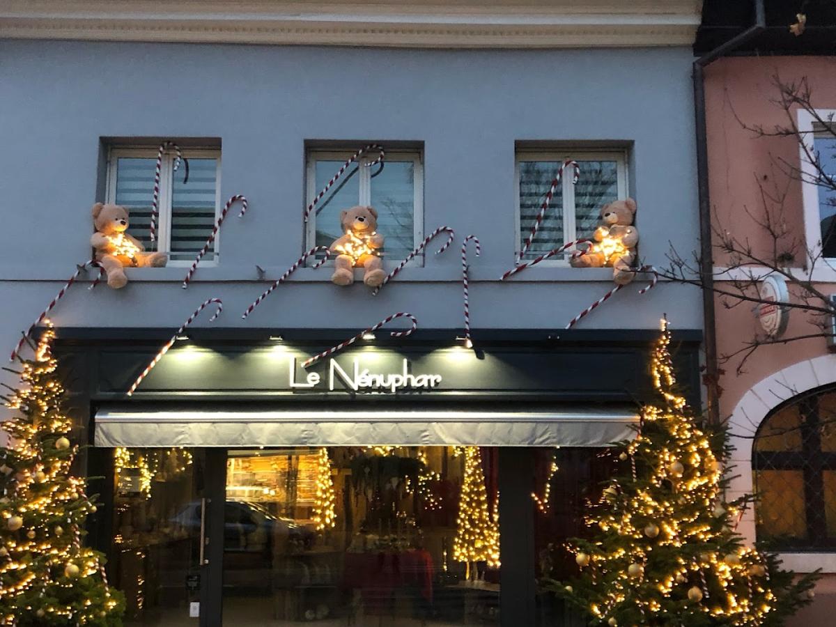 Le Nenuphar (SARL)